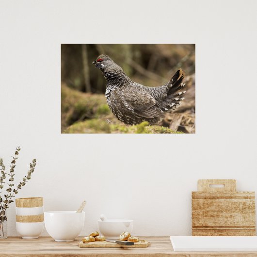 Proud Grouse Poster (Keuken)