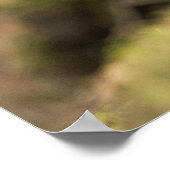 Proud Grouse Poster (Hoek)