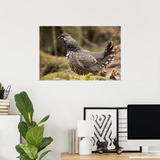 Proud Grouse Poster (Thuiskantoor)