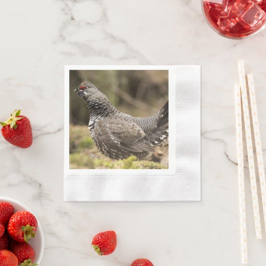 Proud Grouse Servet (Insitu)