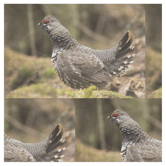 Proud Grouse Stof (Close Up)