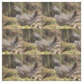 Proud Grouse Stof (Swatch)