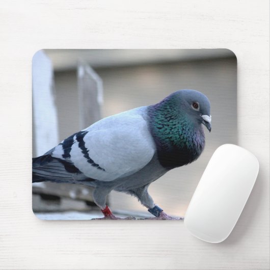 Proud Homing Pigeon Mousepad Muismat (Met muis)