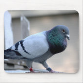 Proud Homing Pigeon Mousepad Muismat (Voorkant)