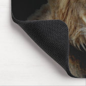 Proud King of the Animal Kingdom Muismat (Hoek)