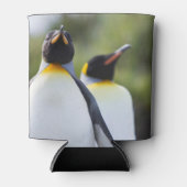 Proud King pinguins foto Blikjeskoeler (Voorkant)