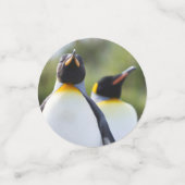 Proud King pinguins foto Confetti (Kleine voorkant)