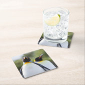 Proud King pinguins foto Kartonnen Onderzetters (Insitu)