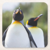 Proud King pinguins foto Kartonnen Onderzetters (Voorkant)