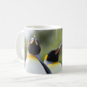 Proud King pinguins foto Koffiemok