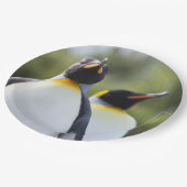 Proud King pinguins foto Papieren Bordje (Gekanteld)