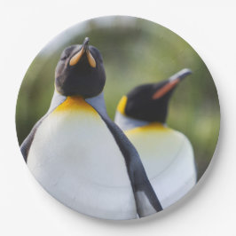 Proud King pinguins foto Papieren Bordje