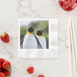 Proud King pinguins foto Servet