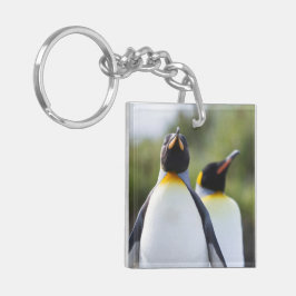 Proud King pinguins foto Sleutelhanger