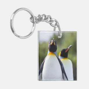 Proud King pinguins foto Sleutelhanger