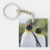 Proud King pinguins foto Sleutelhanger (Voorkant)