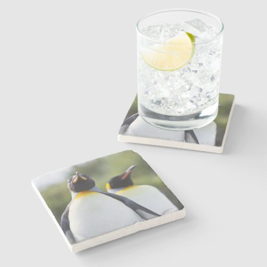 Proud King pinguins foto Stenen Onderzetter (Zijkant)