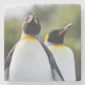 Proud King pinguins foto Stenen Onderzetter (Voorkant)