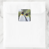 Proud King pinguins foto Vierkante Sticker (Tas)