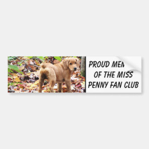 Proud lid van de Miss Penny fan club. Bumpersticker