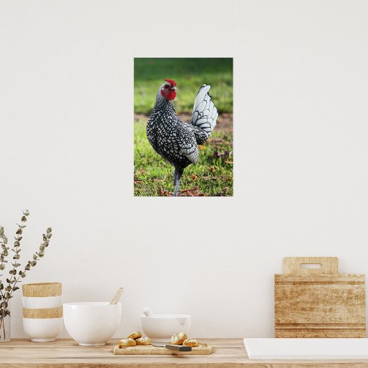 "Proud Little Rooster" Poster (Keuken)