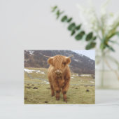 Proud om Schots te zijn! Briefkaart (Staand voorkant)