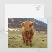 Proud om Schots te zijn! Briefkaart (Voorkant / Achterkant)