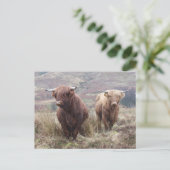 Proud om Schots te zijn! Briefkaart (Staand voorkant)