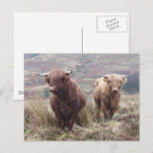 Proud om Schots te zijn! Briefkaart (Voorkant / Achterkant)