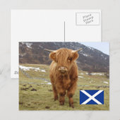 Proud om Schots te zijn! Briefkaart (Voorkant / Achterkant)