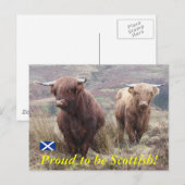 Proud om Schots te zijn! Briefkaart (Voorkant / Achterkant)