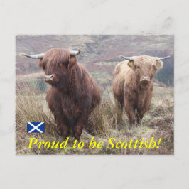 Proud om Schots te zijn! Briefkaart