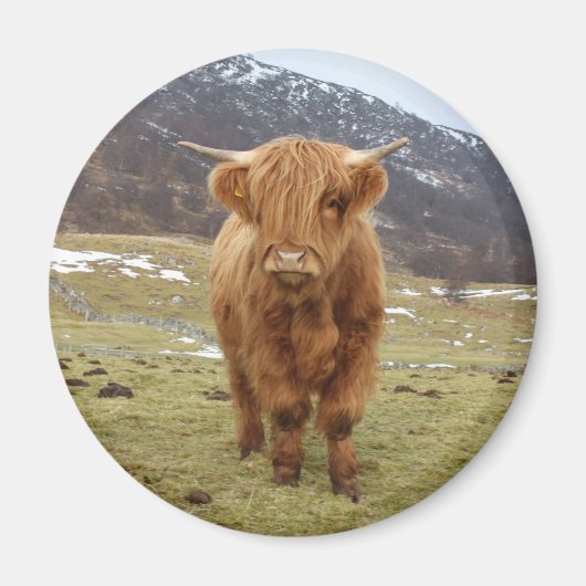 Proud om Schots te zijn! Magneet (Voorkant)