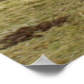 Proud om Schots te zijn! Poster (Hoek)