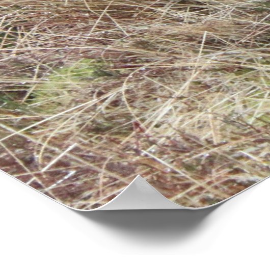 Proud om Schots te zijn! Poster (Hoek)