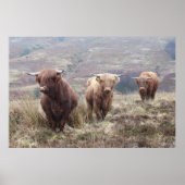 Proud om Schots te zijn! Poster (Voorkant)