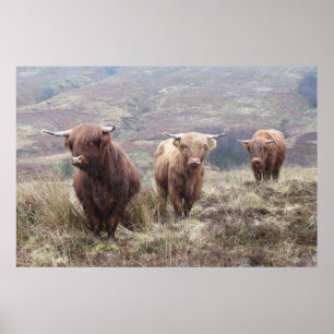 Proud om Schots te zijn! Poster