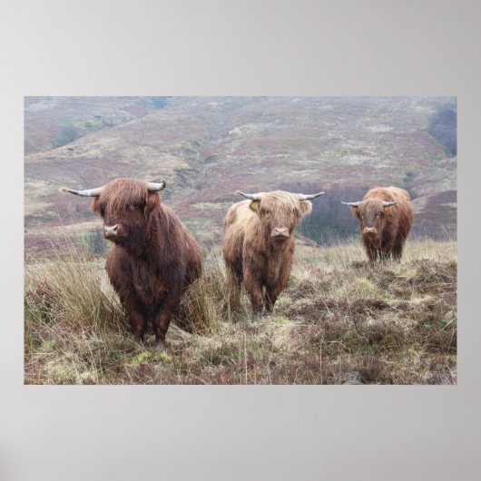 Proud om Schots te zijn! Poster (Voorkant)