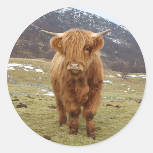 Proud om Schots te zijn! Ronde Sticker (Voorkant)