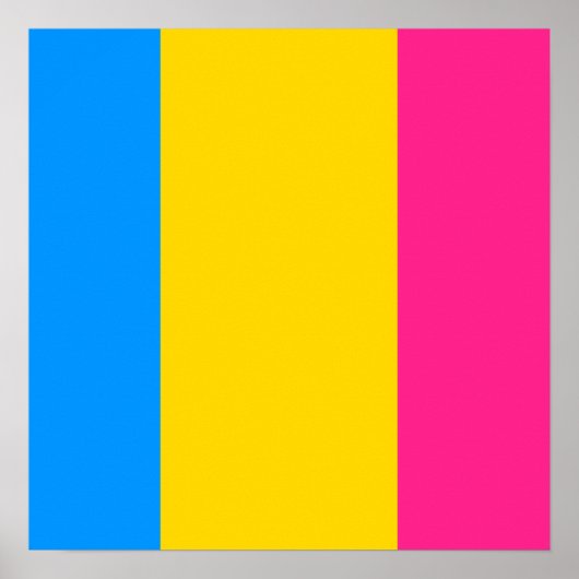 Proud Pansexual Poster (Voorkant)