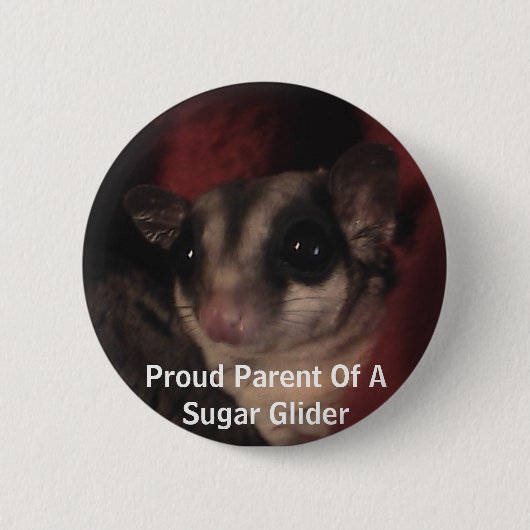 Proud Parent of a Sugar Glider Ronde Button 5,7 Cm (Voorkant)