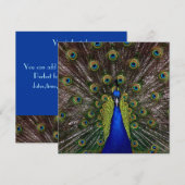 Proud Peacock AFSTUDEREN Invitation Kaart (Voorkant / Achterkant)