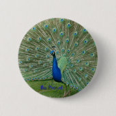 Proud Peacock Badge Ronde Button 5,7 Cm (Voorkant)