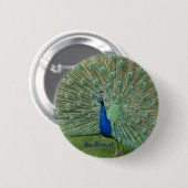 Proud Peacock Badge Ronde Button 5,7 Cm (Voorkant /achterkant)
