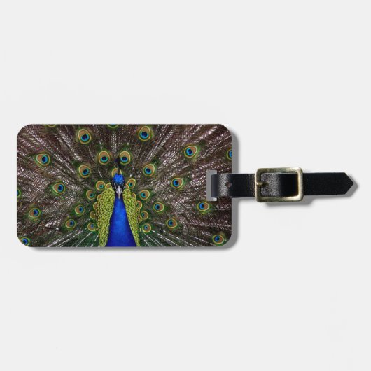 Proud Peacock bagagelabel (Voorkant horizontaal)