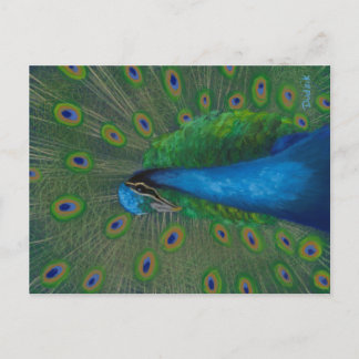 Proud Peacock Briefkaart
