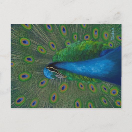 Proud Peacock Briefkaart (Voorkant)
