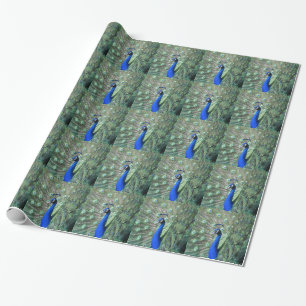 Proud Peacock Cadeaupapier