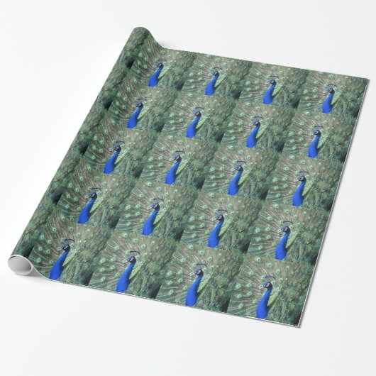 Proud Peacock Cadeaupapier (Uitgerold)