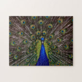 Proud Peacock-fotopuzzel Legpuzzel (Horizontaal)